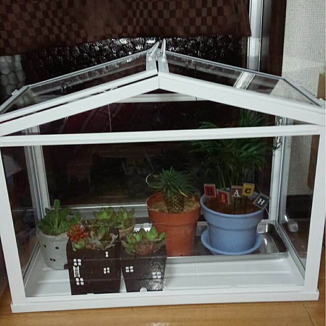 rk5kuuさんの実例写真
