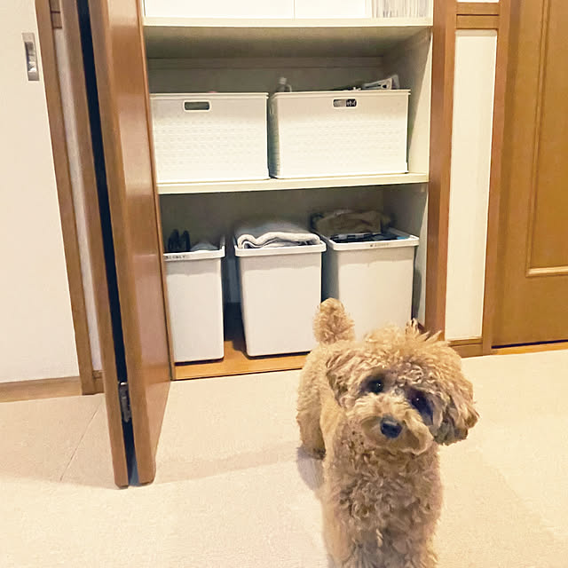 kawauso15さんの部屋