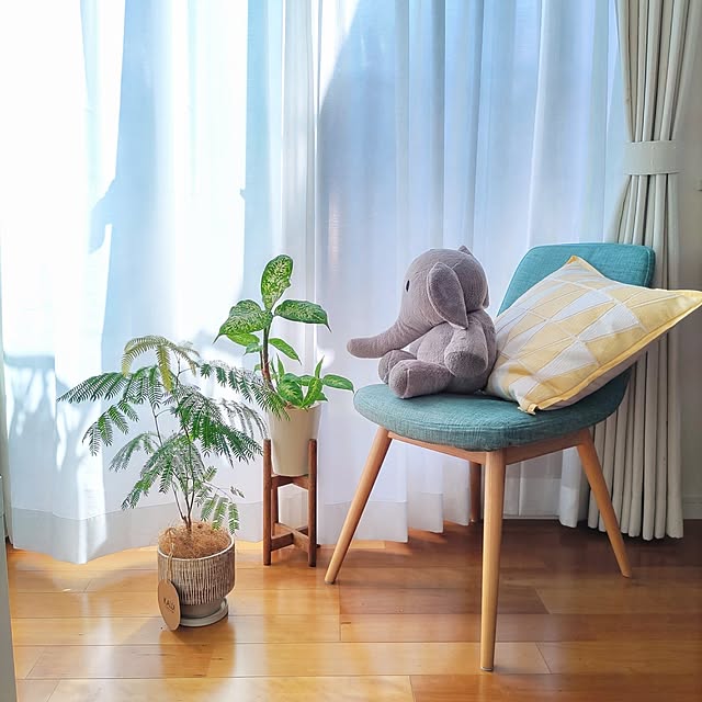 Haさんの実例写真