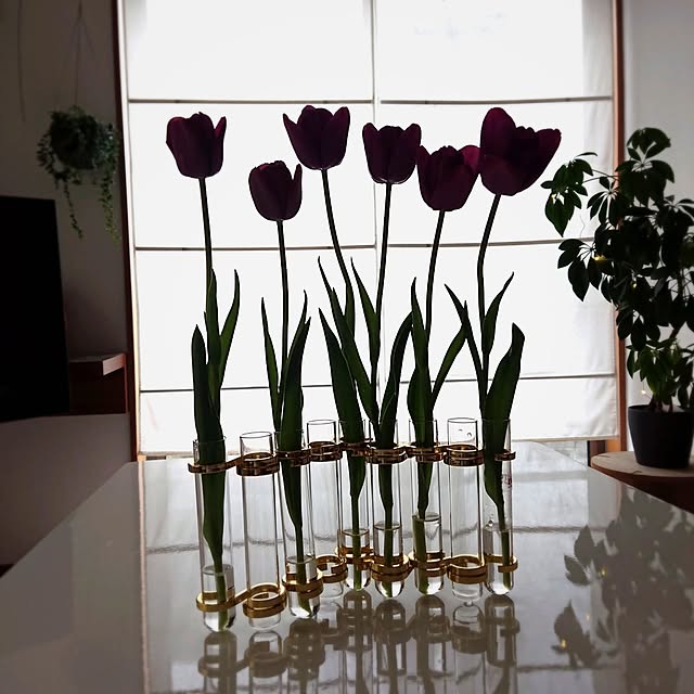 Mi-koさんの実例写真