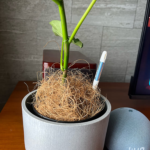 alさんの実例写真