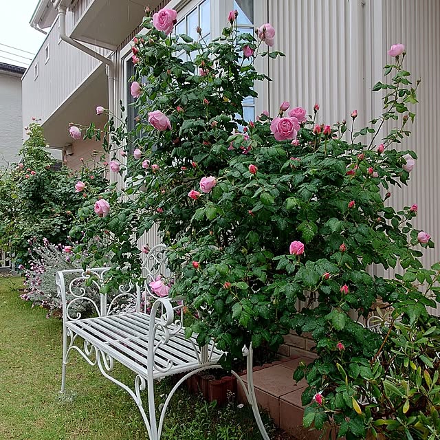 fleur-mamanさんの実例写真
