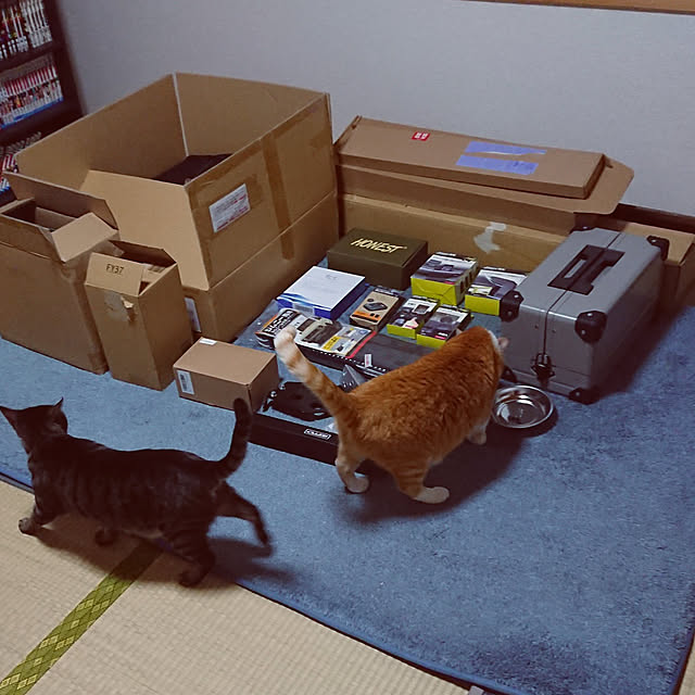 実例写真