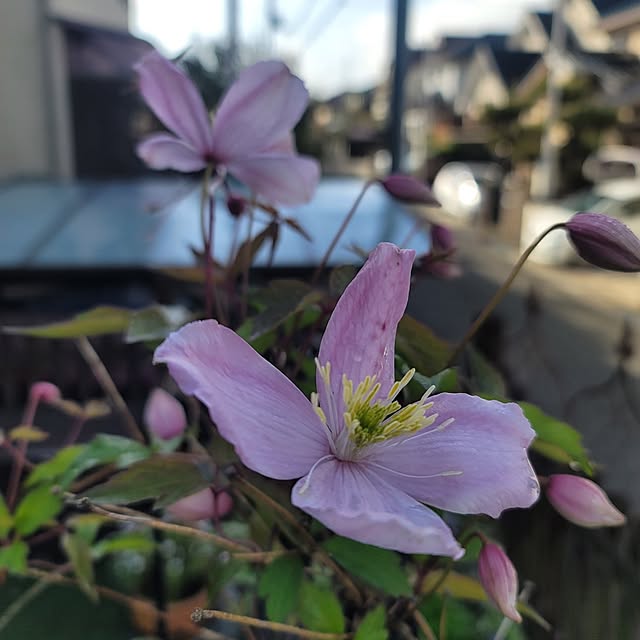 VIORAさんの実例写真
