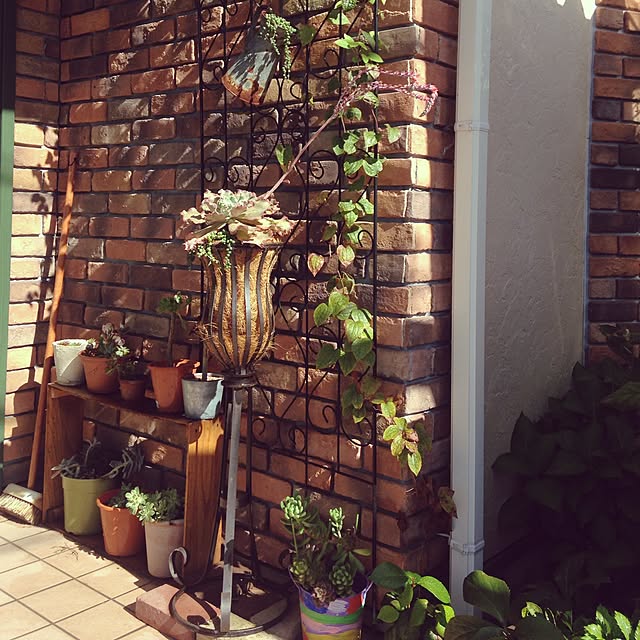 Ri-pochaさんの実例写真