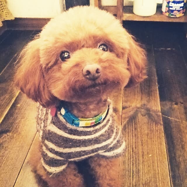 mamama3さんの実例写真