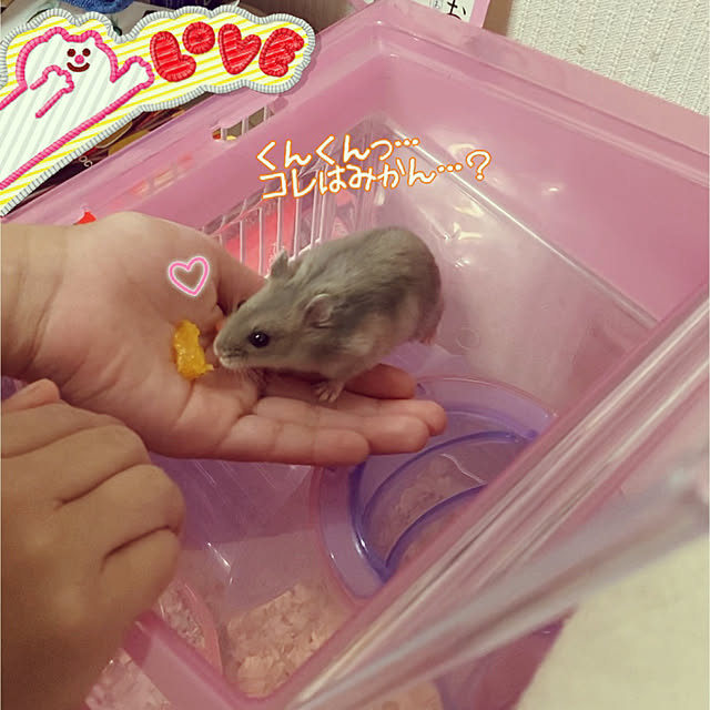 milkさんの実例写真