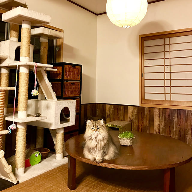 butachanさんの実例写真