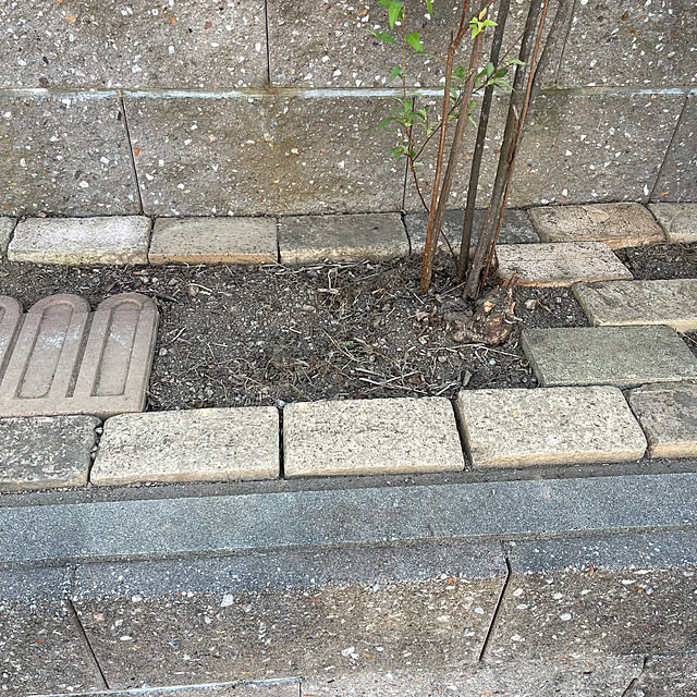 kikiさんの部屋