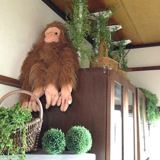 kohaさんの実例写真
