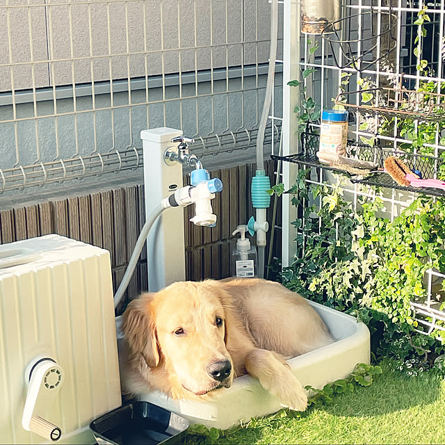 marinkoさんの実例写真