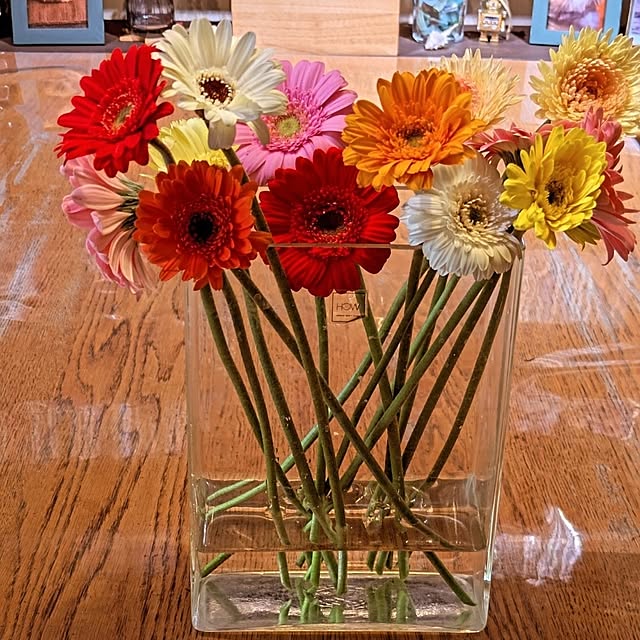 anzmama0404さんの部屋