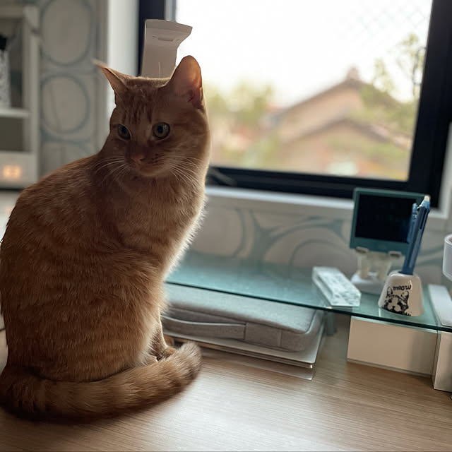 sherryさんの実例写真