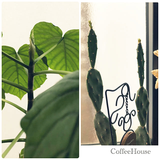 CoffeeHouseさんの実例写真