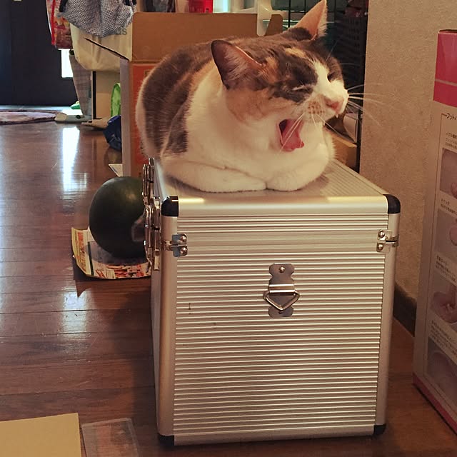 yumasukeさんの実例写真