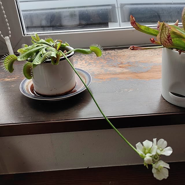 kiraさんの部屋