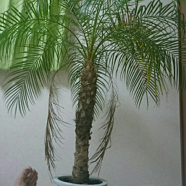 hideさんの実例写真