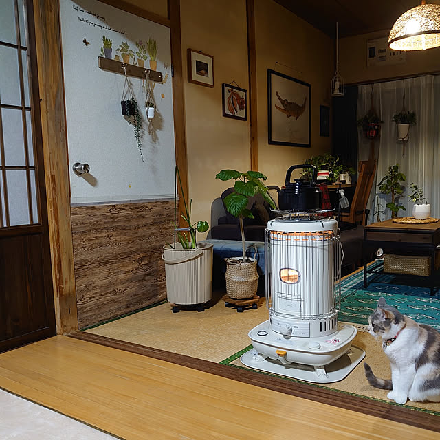 fukuさんの実例写真