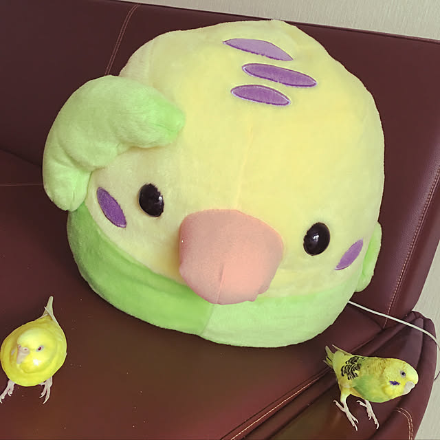 macaronさんの実例写真