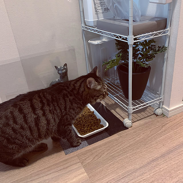 Boniさんの実例写真
