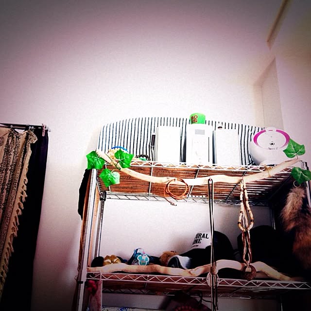 Kanaさんの実例写真