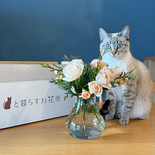 amさんの実例写真