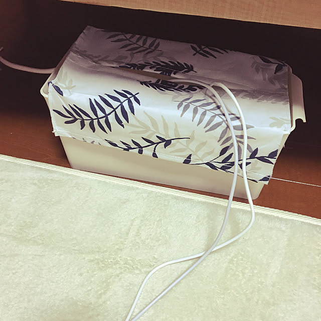 satomiiiさんの実例写真