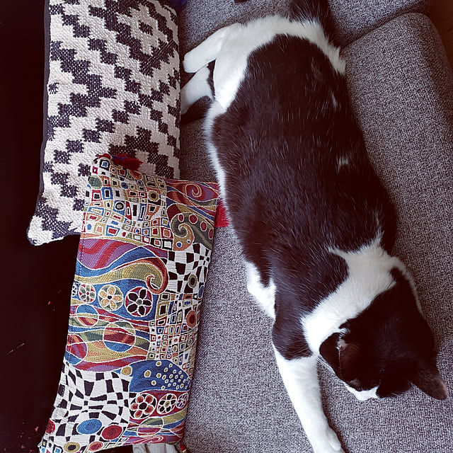 minaminamiさんの実例写真