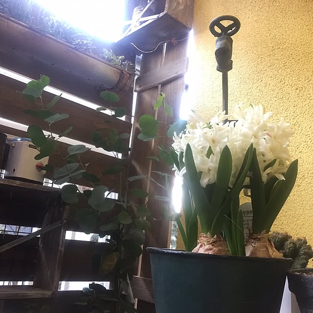 natulove0418さんの実例写真