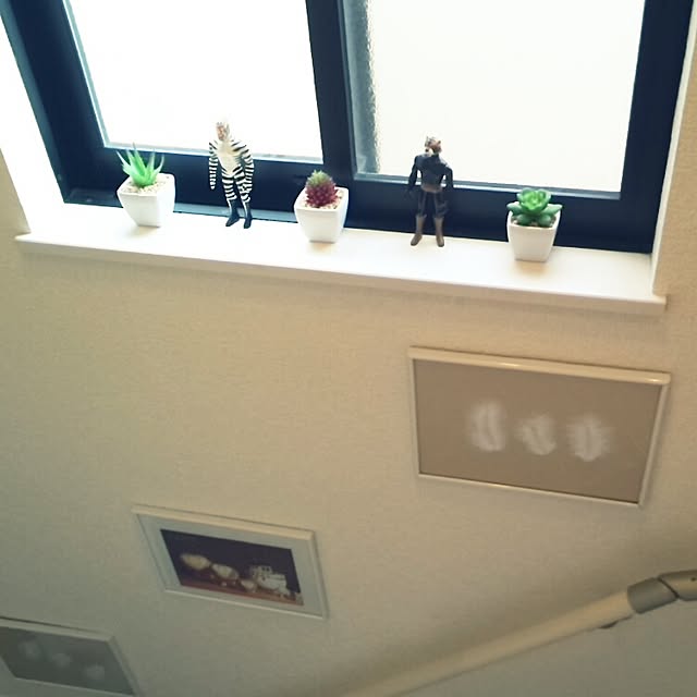 mintさんの実例写真