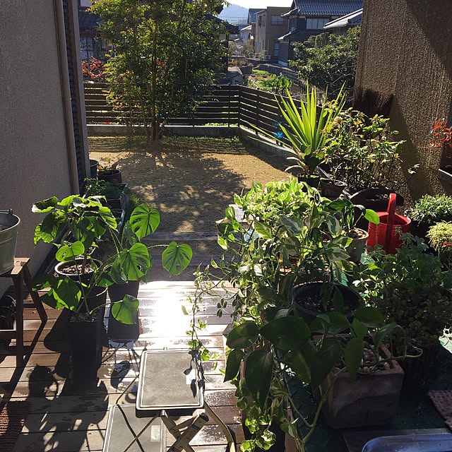 実例写真