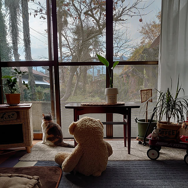 fukuさんの実例写真