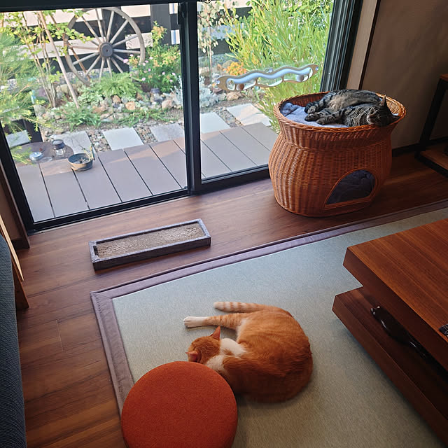 taka-kiさんの実例写真