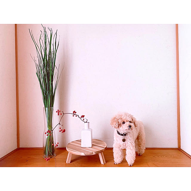 teaさんの実例写真