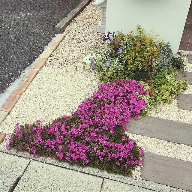 REEmamaさんの実例写真