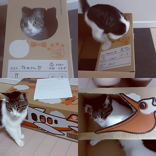 saosanさんの実例写真
