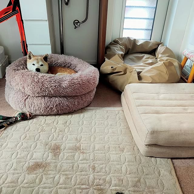 ponhanaさんの部屋