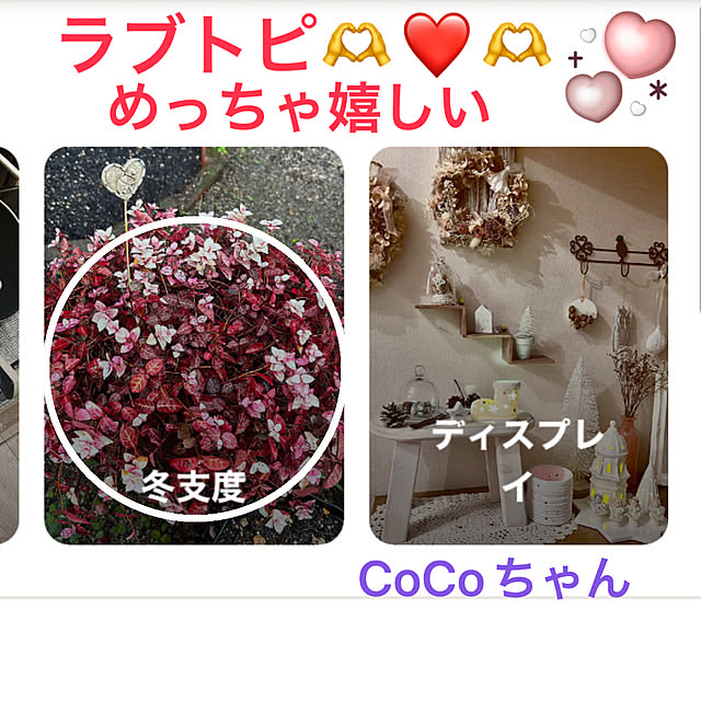 ritsukoさんの実例写真