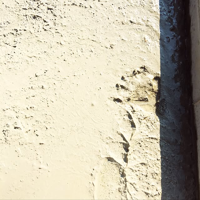 minmim.さんの実例写真