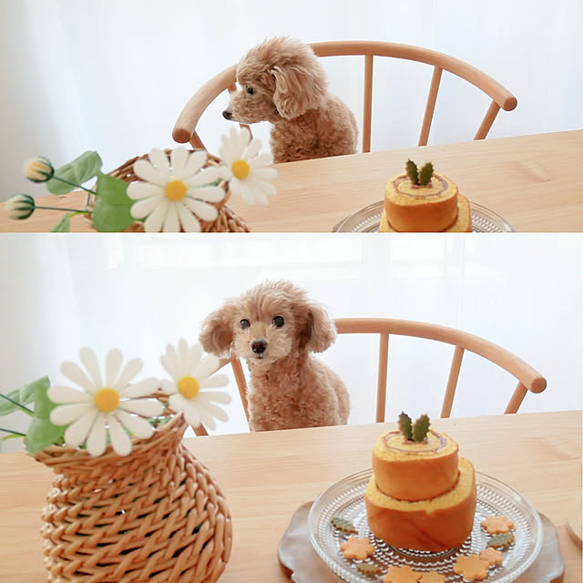 kettoさんの実例写真