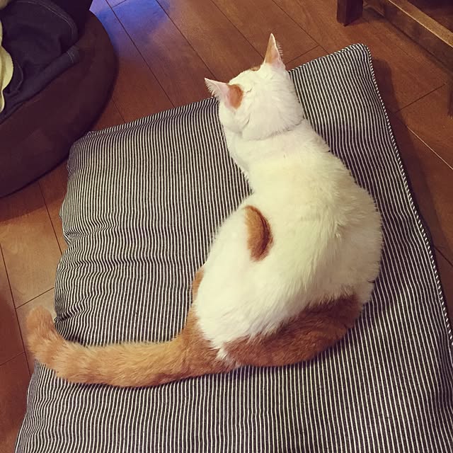 Rettiさんの実例写真
