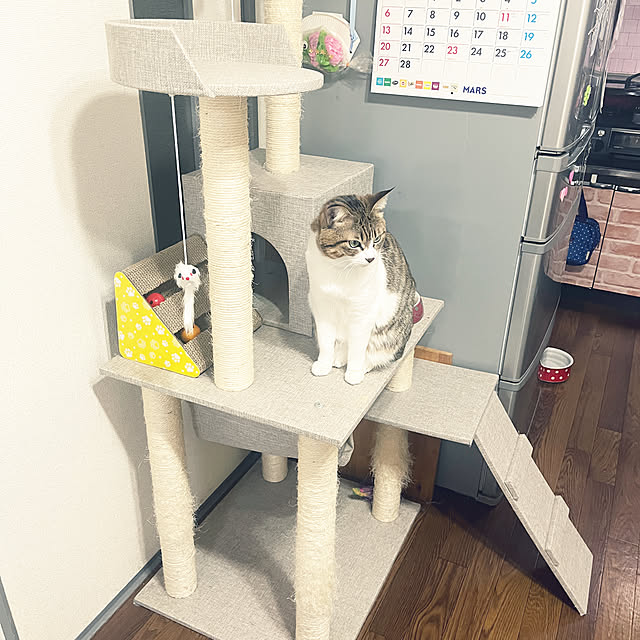 tiroさんの実例写真