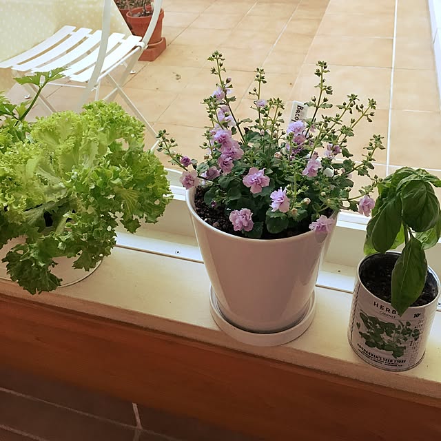 maison_blancheさんの実例写真