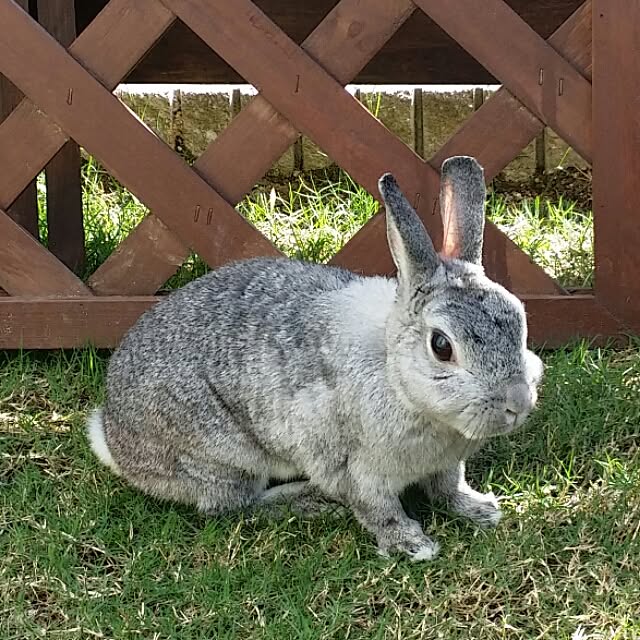 viviさんの実例写真