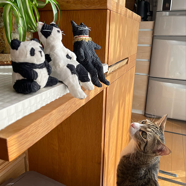 nobikoさんの実例写真