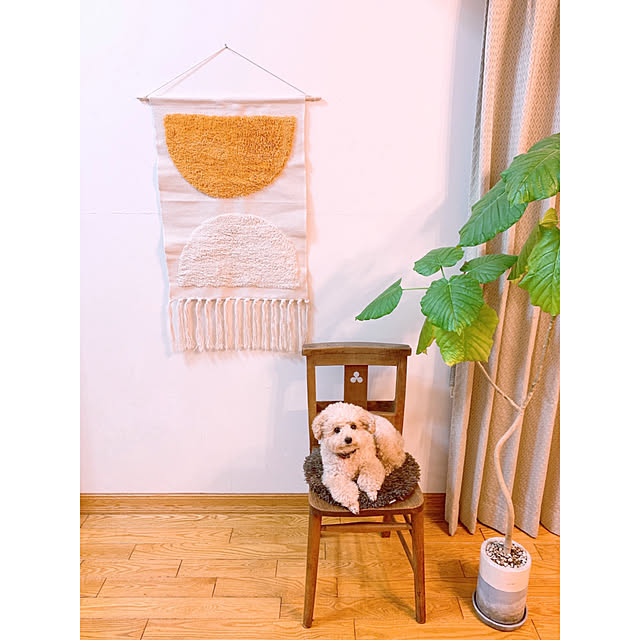 teaさんの実例写真