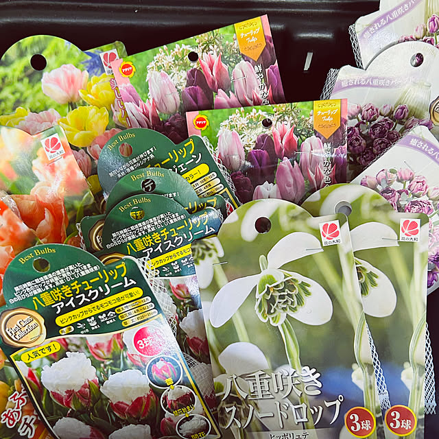 DAYONEさんの部屋