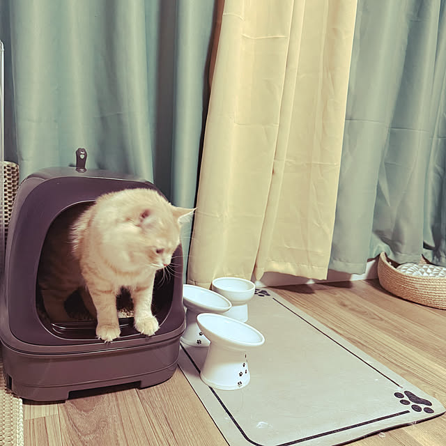 Rikkoさんの部屋