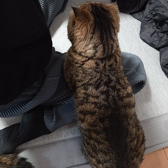 noguriさんの部屋