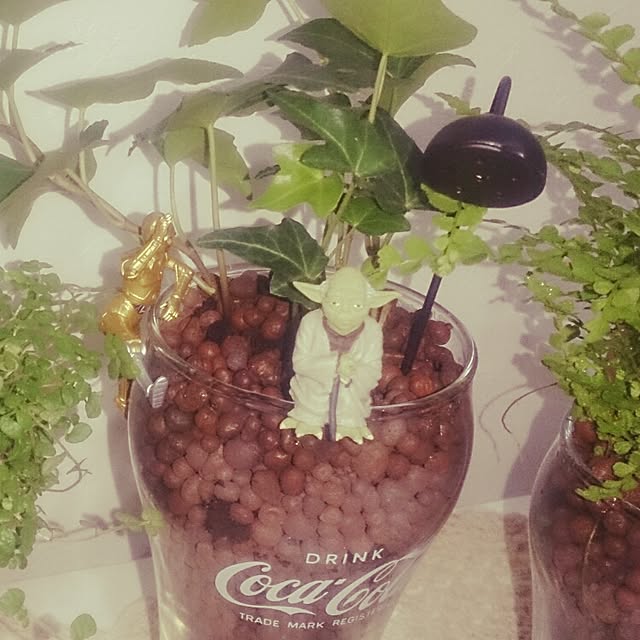 SHOさんの実例写真